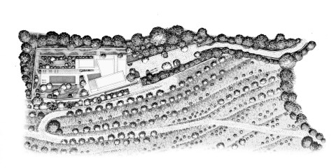 BORDI_2_Dessin jardin vierge.jpg